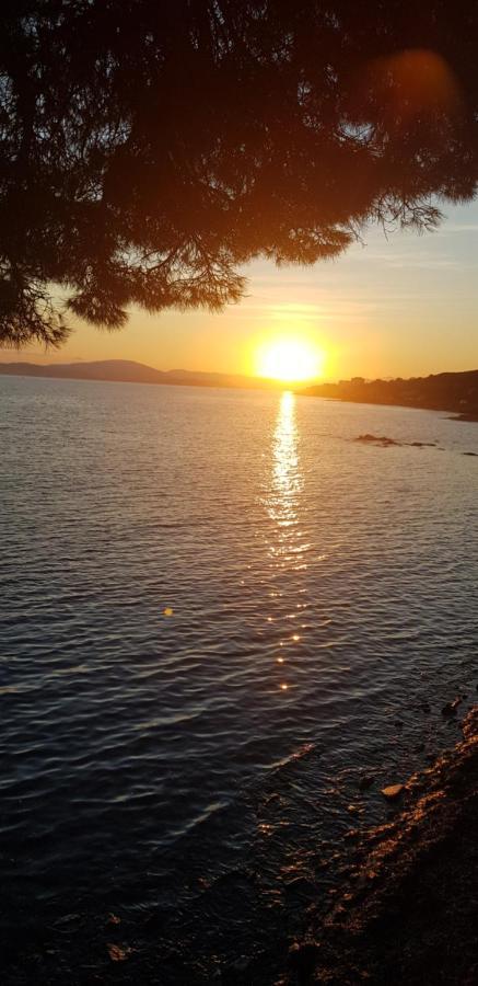 T1 Bis A 50 M De La Plage Sainte-Maxime Bagian luar foto